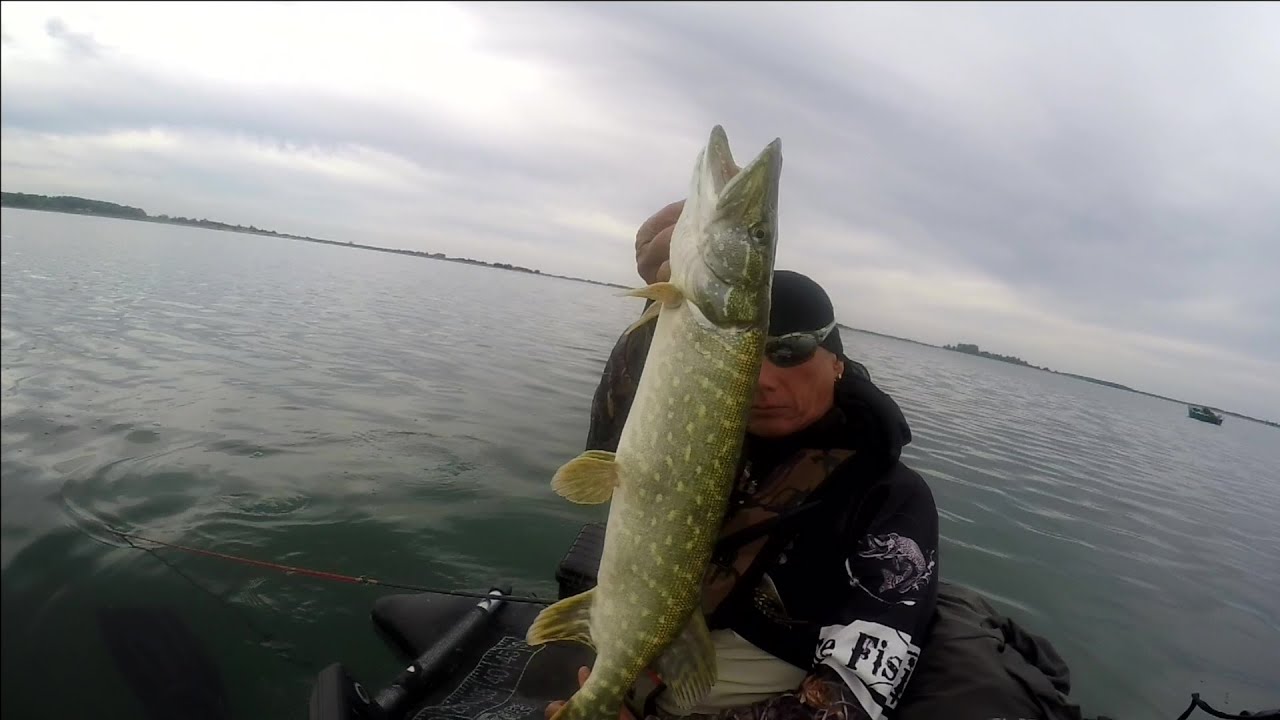 peche du brochet, lac du der YouTube