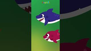 Baby Shark's Family vs Giant Jellyfish | Baby Shark Song