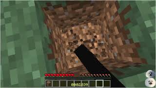 [FWR] Minecraft Enter End Glitched in 11.770s (no boost)