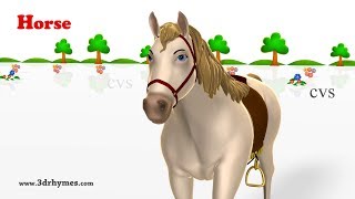 Learn Animals Song  - 3D Animation Animals Video For Kids