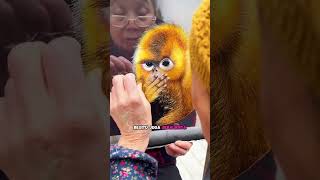 Download Lagu Jangan Salah Paham dengan Karya Seni ini! 🎨😂 MP3