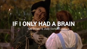 The Wizard of Oz - If I Only Had a Brain (LYRICS)