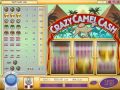 Crazy camel cash