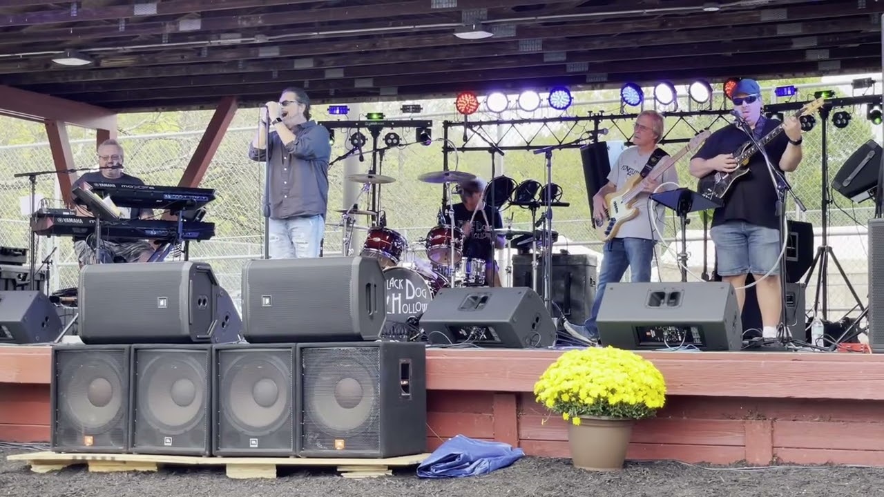 Free Into The Mystic Zac Brown Band Cover By Black Dog Hollow 