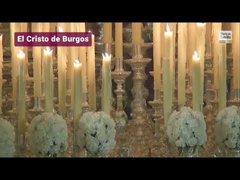 Pontificia, Real, Ilustre y Fervorosa Hermandad del Santísimo Cristo de Burgos, Negaciones y Lágrimas de San Pedro y Madre de Dios de la Palma