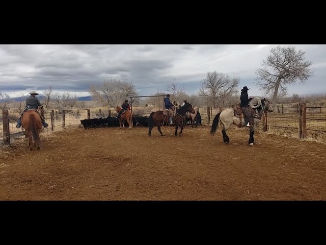Montana Stockgrowers to Hold Ag Labor Summit in Billings