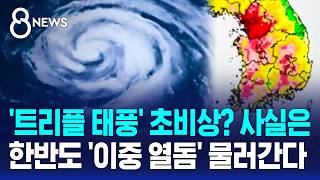 Hottest 'Ipchu' on Record... Up to 150mm of Heavy Rain on the East Coast This Weekend / SBS 8 News