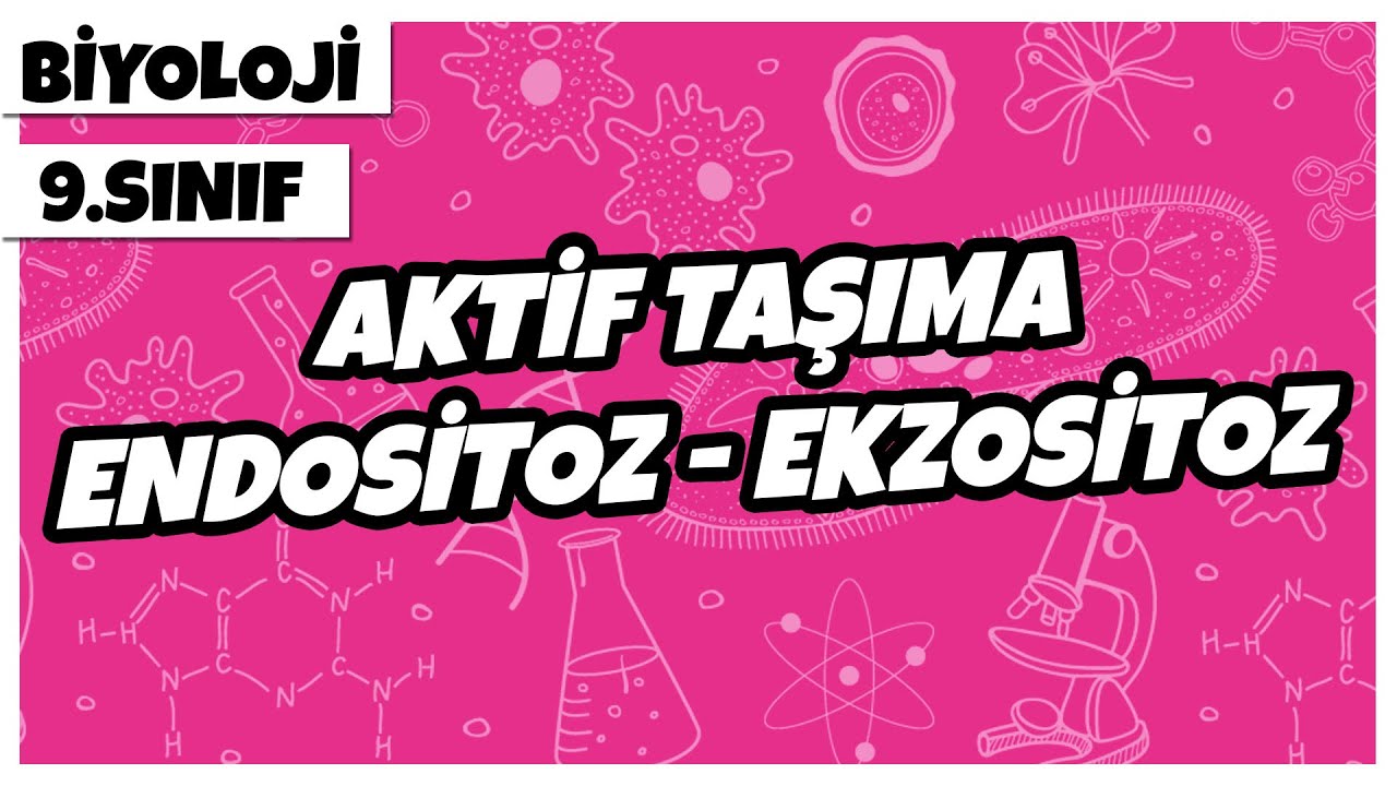 9. Sınıf Biyoloji - Aktif Taşıma Endositoz - Ekzositoz