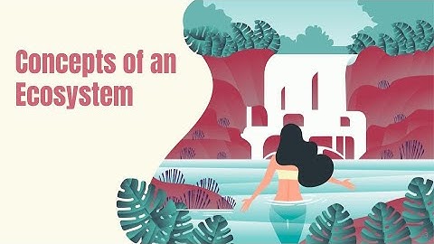 Concepts of an Ecosystem