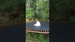 Girl attempts front flip on trampoline but forgets to jump and falls awkwardly