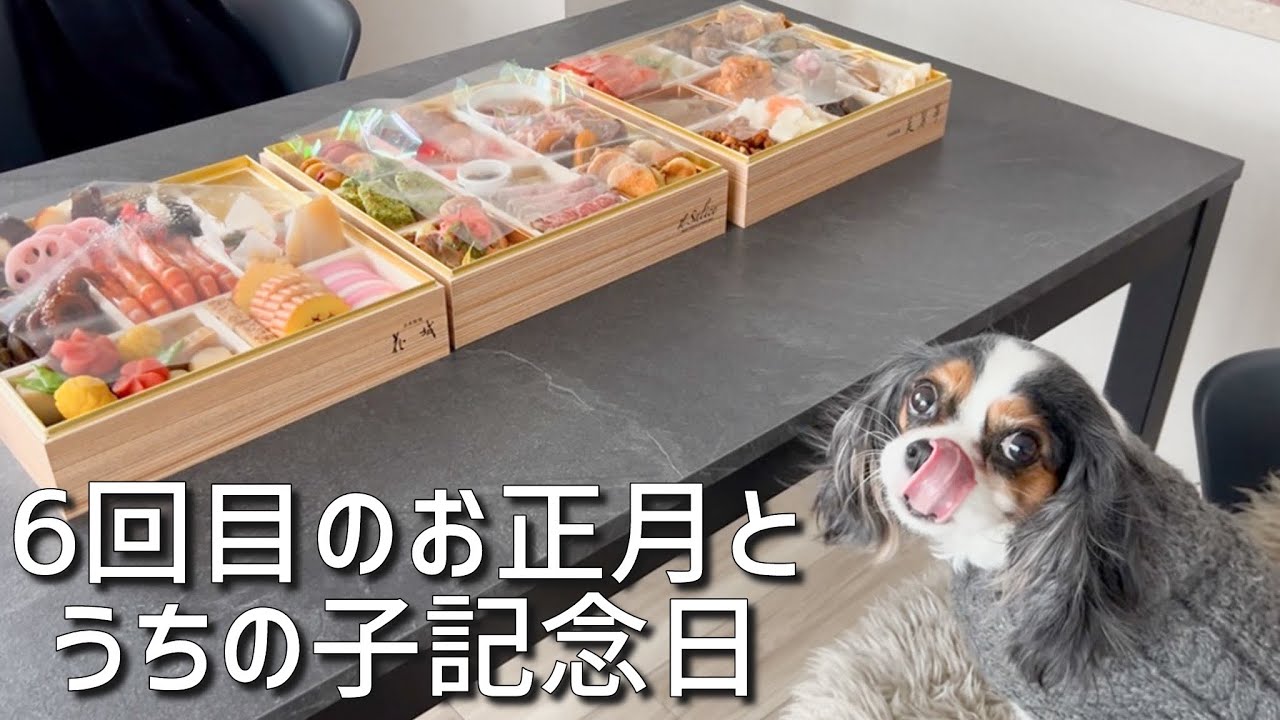 1月2日はうちの子記念日(6歳キャバリア)