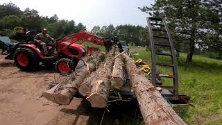 Unloading logs with a 25 horsepower tractor. #kioti #ck2610 #branson #tractor