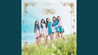 Searching for ELRIS (Intro)