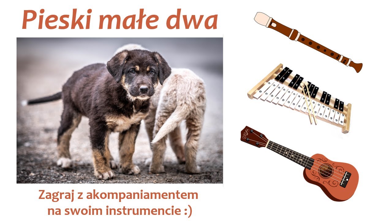 Flety Piosenki Dla Dzieci Pieski Małe Dwa