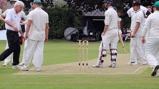 Cricket Fail Sees Stump Stay On screenshot 1