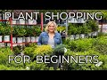 Gardening for Beginners: Which Plants Do I Buy? Gardening Tips & Garden Center How To