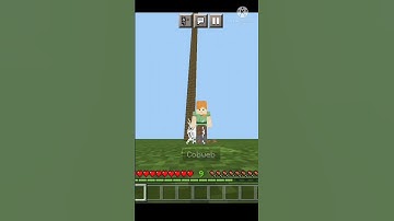 Minecraft PE Cob Web MLG From Third Person Front View