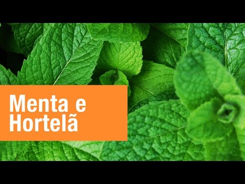 Vídeo: Como O Chá De Menta Afeta A Potência