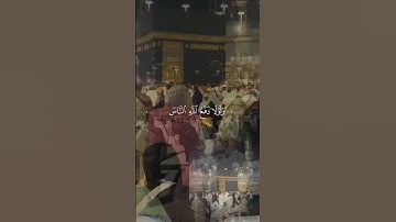 إلان للذين يقاتلون بانهم ظلموا #ماهر_المعيقلي #تلاوة_نادرة_لاول_مرة #تلاوة_خاشعة #qurantilawat