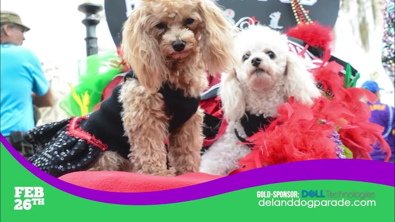 DeLand Dog Parade 2022 V2 YouTube