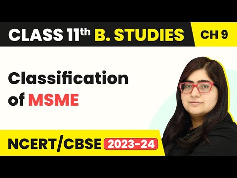 Term 2 Exam Class 11 Business Studies | Chapter 9 | Classification of MSME - Small Business