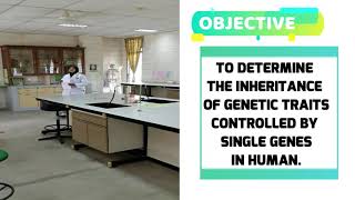 Experiment 5 (5.1) Genetic Inheritance