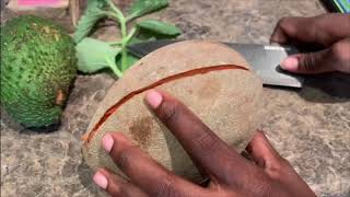 Mamey and Soursop Smoothie