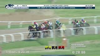 Vidéo de la course PMU PREMIO SLINGERLANDS 2018