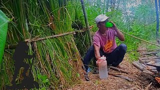 Solo Camping Hujan Deras || Membangun Shelter Dengan Rumput Ilalang