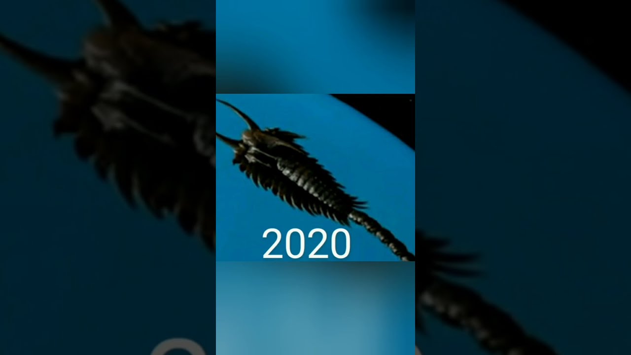 Evolution Of SCP 169 1 Shorts Ocean Scp169