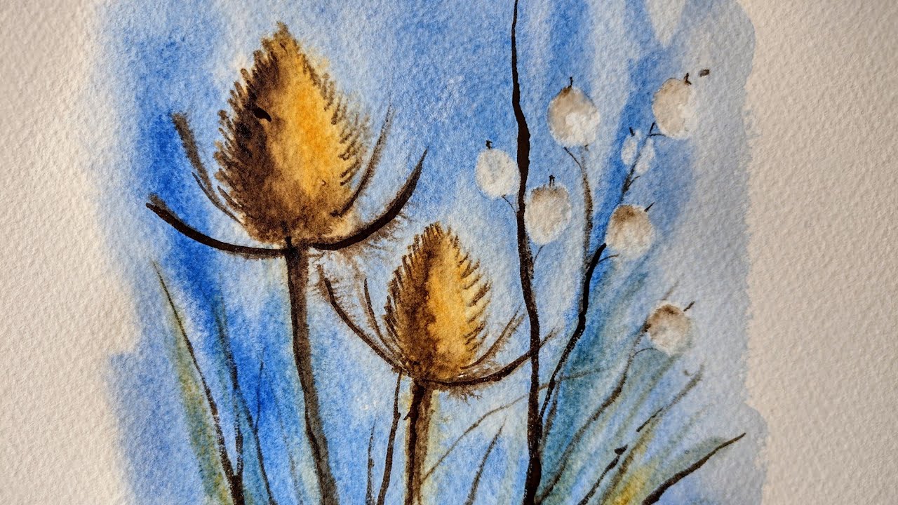 How To Draw And Paint Easy Teasels And Honesty In Watercolour YouTube how-to-draw-and-paint-easy-teasels-and-honesty-in-watercolour-youtube