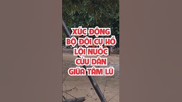 Xúc động cảnh bộ đội cụ Hồ lội nước cứu dân giữa tâm lũ #tintuc #shorts #saoviet #lulut