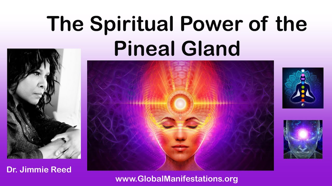 Spiritual Power of the Pineal Gland - YouTube