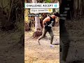 Vidyut Jamwal so ke uthne wala video 💪