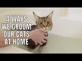 4 ways we groom our cats at home