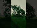 when stormy side is much peaceful than calm side -#explore #stormy #stormyday #sunset #nature nat