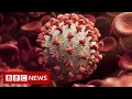 Fears heavily mutated Covid variant 'may evade vaccine protection' - BBC News