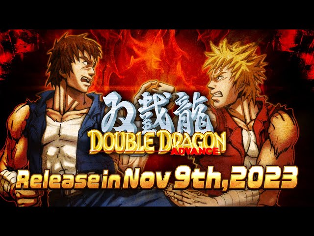 Double Dragon Advance Review