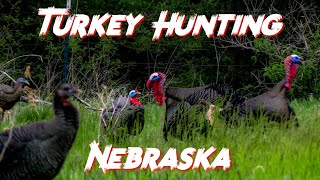 Turkey Hunting in Nebraska: A Father and Son Turkey Hunting Adventure! by Seek And Find TV 161 views 2 months ago 6 minutes, 53 seconds