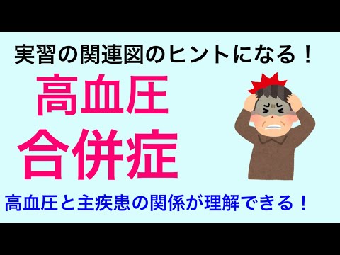 【実習で必須】高血圧の病態と合併症について解説