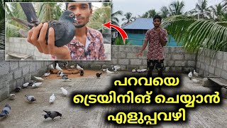 🕊️പറവയെ എങ്ങനെ ചുറ്റിക്കാം 🤩Parava Training || Vlogger Afsi