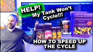 My Tank Wont Cycle!!! How to speed up the cycle!