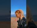 #music #fypシ゚viral #viralvideo #ytshorts #love #foryou #dogshorts #doglife #dogtok #explore #sea#fyp