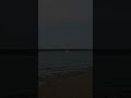 Московское море. Иваньковское водохранилище. Волга. Шоша. Завидово. Тверская область. 1 июня 2024 г.