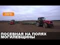 В Могилевской области полным ходом идет сев — 2024 // Засеяно уже более 24 тысяч гектаров