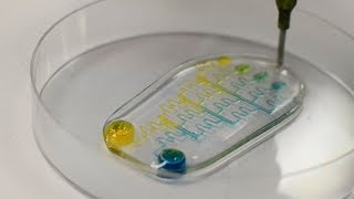 Bioprinting 101: How to make Microfluidic Chips