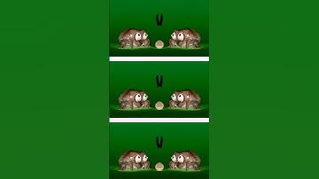 Jump Lucas The Spider Intro LogoSponsored By Klasky Csupo 2001 Effects #Shorts