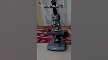 Customize your style with high-quality embroidered patches