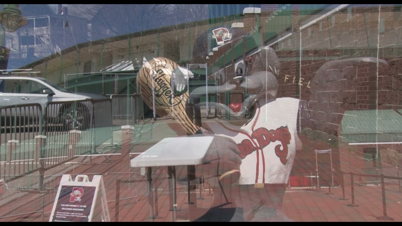 Are Dogs Allowed At Hadlock Field?