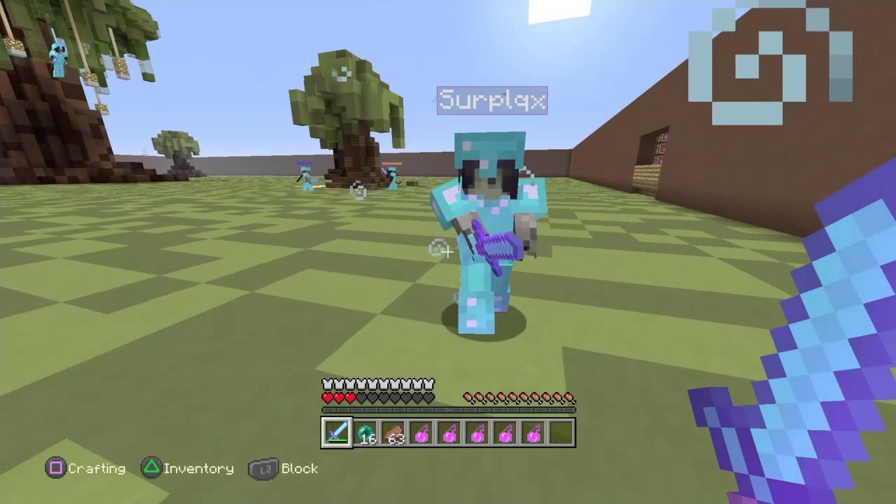 VERZIDE DNS MINCRAFT